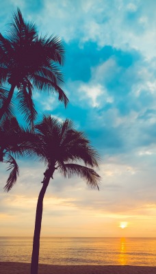 океан пальмы закат горизонт