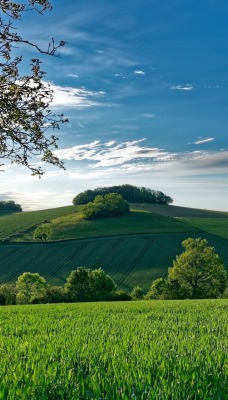 поле холмы зелень