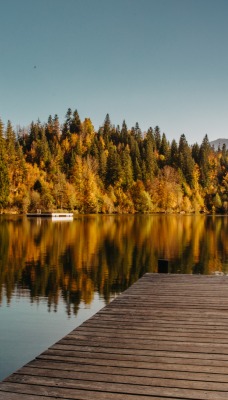 причал осень лес озеро