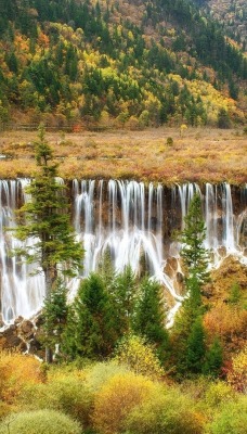 водопад деревья растительность