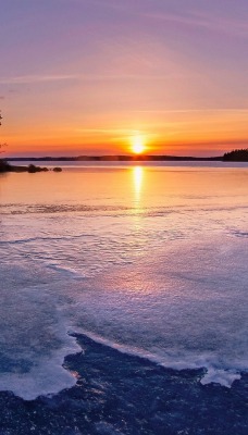 закат озеро дерево