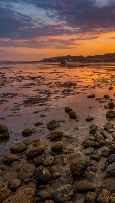 камни берег побережье на закате
