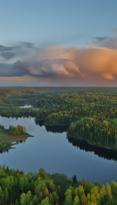 лес озеро вид сверху высота