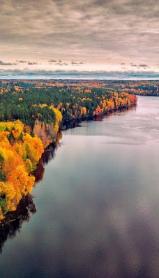 река сибирь осень лес деревья
