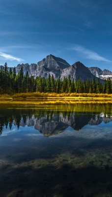 озеро горы лес штиль отражение