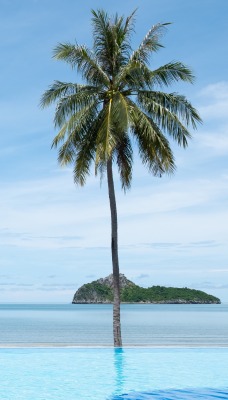 пальмы бассейн горизонт море