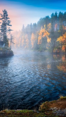 река лес туман утро