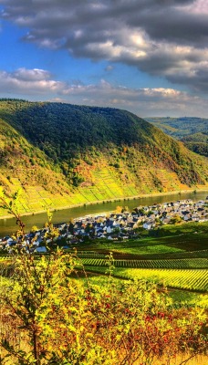 виноградник горы германия пейзаж