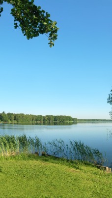 озеро природа пейзаж лето