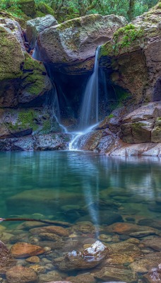 водопад камни мох лес