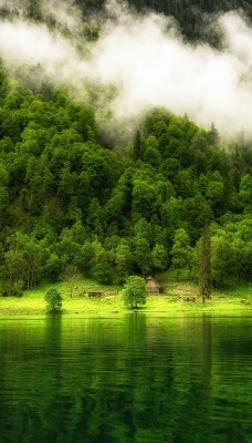 гора склон лес зелень водоем