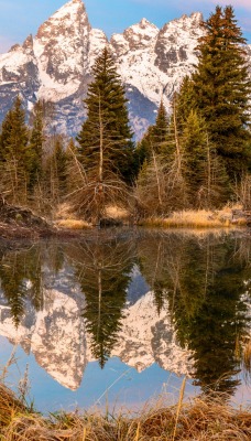 водоем болото озеро лес горы отражение