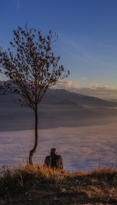 над облаками утес мужчина дерево высота