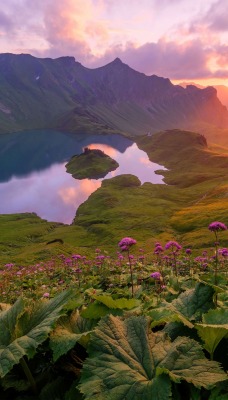 озеро горы на рассвете склон цветы высота