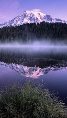озеро гора лес отражение туман