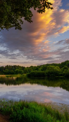 река облака лес