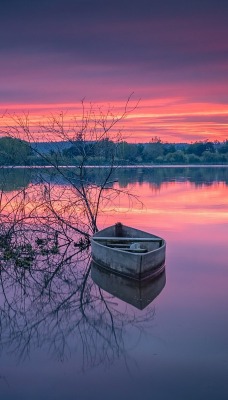 озеро ветви лодка закат