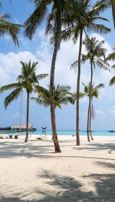 пляж пальмы песок океан