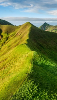 зелёные горы горы растительность