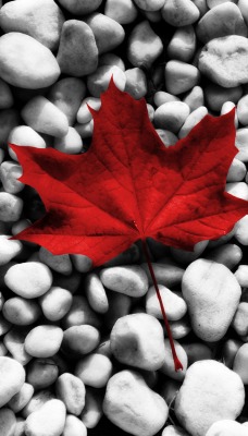 Флаг канады из камней