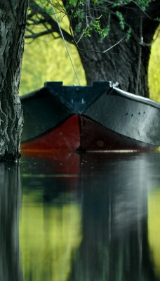 Лодка между деревьев
