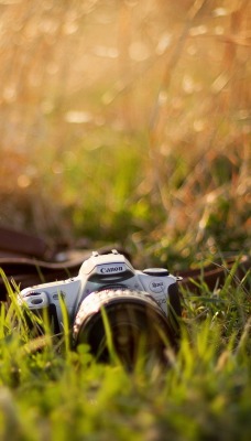 Фотоаппарат в траве