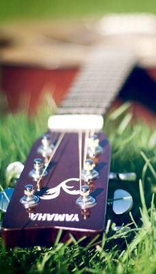 Гитара на траве
