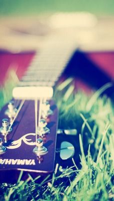 гитара на лужайке