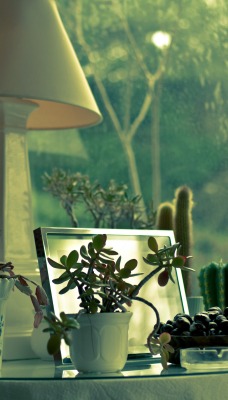 торшер, цветы, зеркало