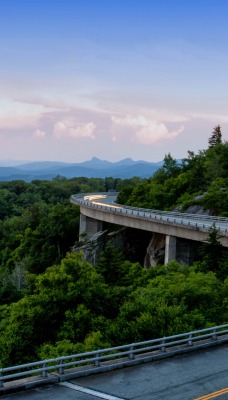 Извилистая дорога дорога мост лес