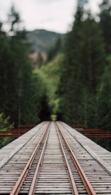 Железная дорога мост лес