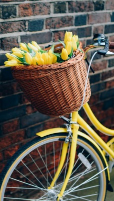 Велосипед тюльпаны желтые