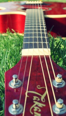 гитара трава guitar grass