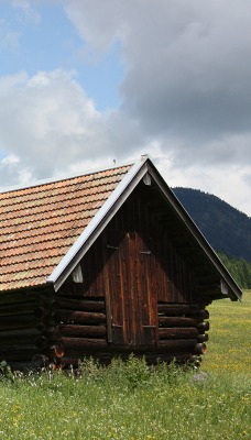 дом трава деревья природа the house grass trees nature