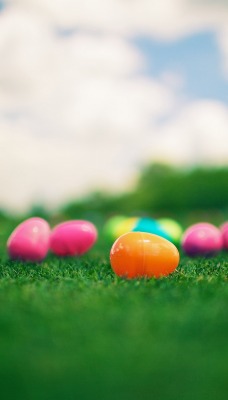 праздники яйца пасха трава природа holidays eggs Easter grass nature