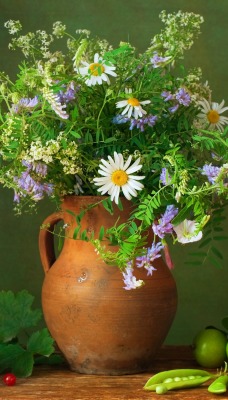 цветы ваза