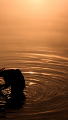 мужчина закат вода