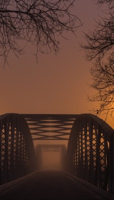 небо мост деревья