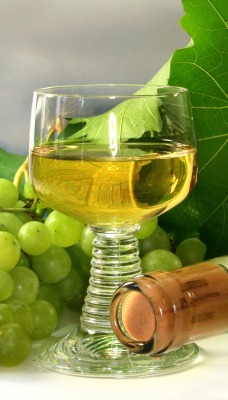 белое вино виноград бокал