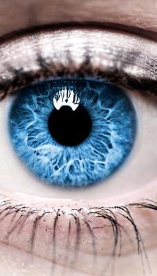 голубые глаза макро взгляд