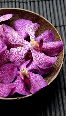 орхидея лепестки миска фиолетовые
