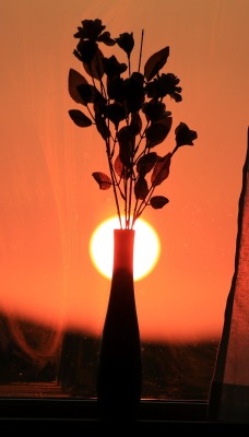 солнце закат окно подоконник ваза шторы