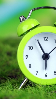 часы мох зелень будильник