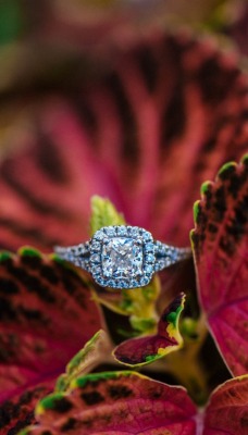 листья кольцо украшение бриллианты