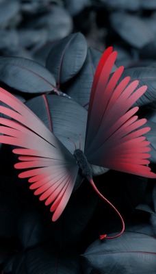 бабочка листья крупный план полет крылья бордовый