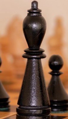 шахматы фигуры пешки