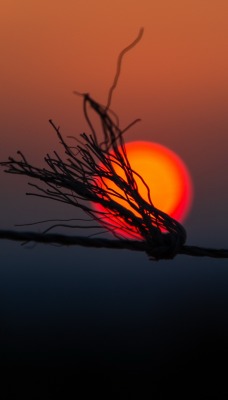 веревка солнце закат