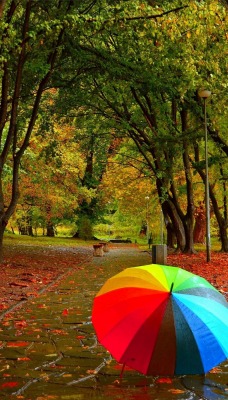 зонт радужный парк деревья