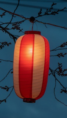 фонарь ветка япония