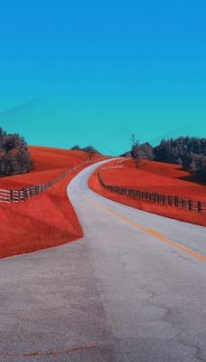 дорога трава красный